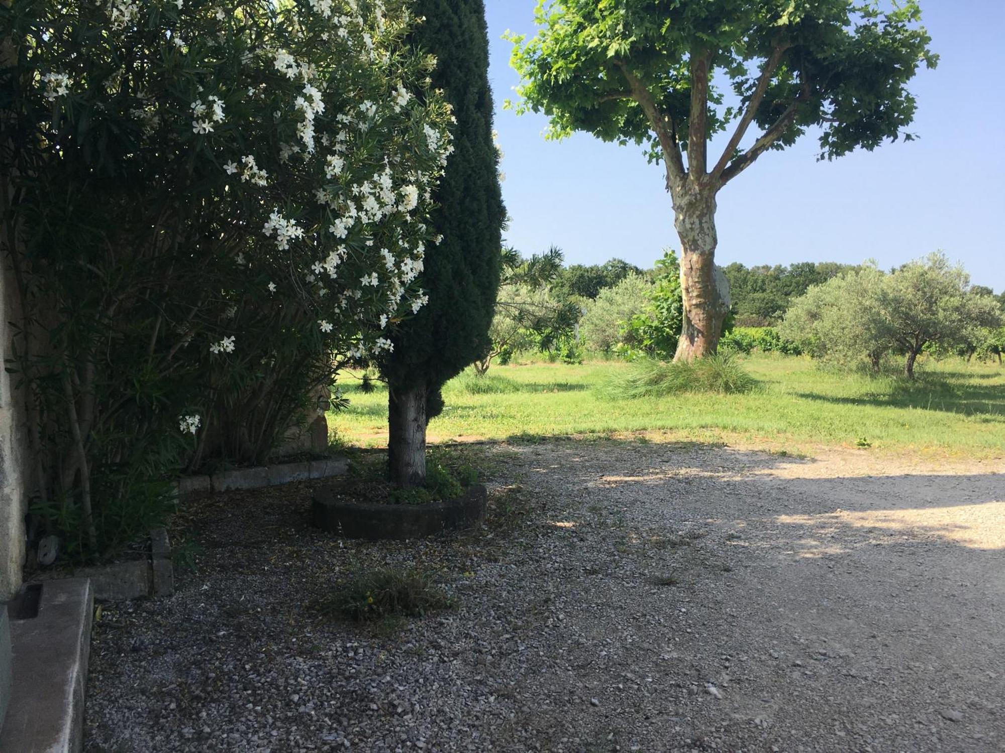 Gite Des Amis Domaine De Mas Caron Caromb Eksteriør bilde